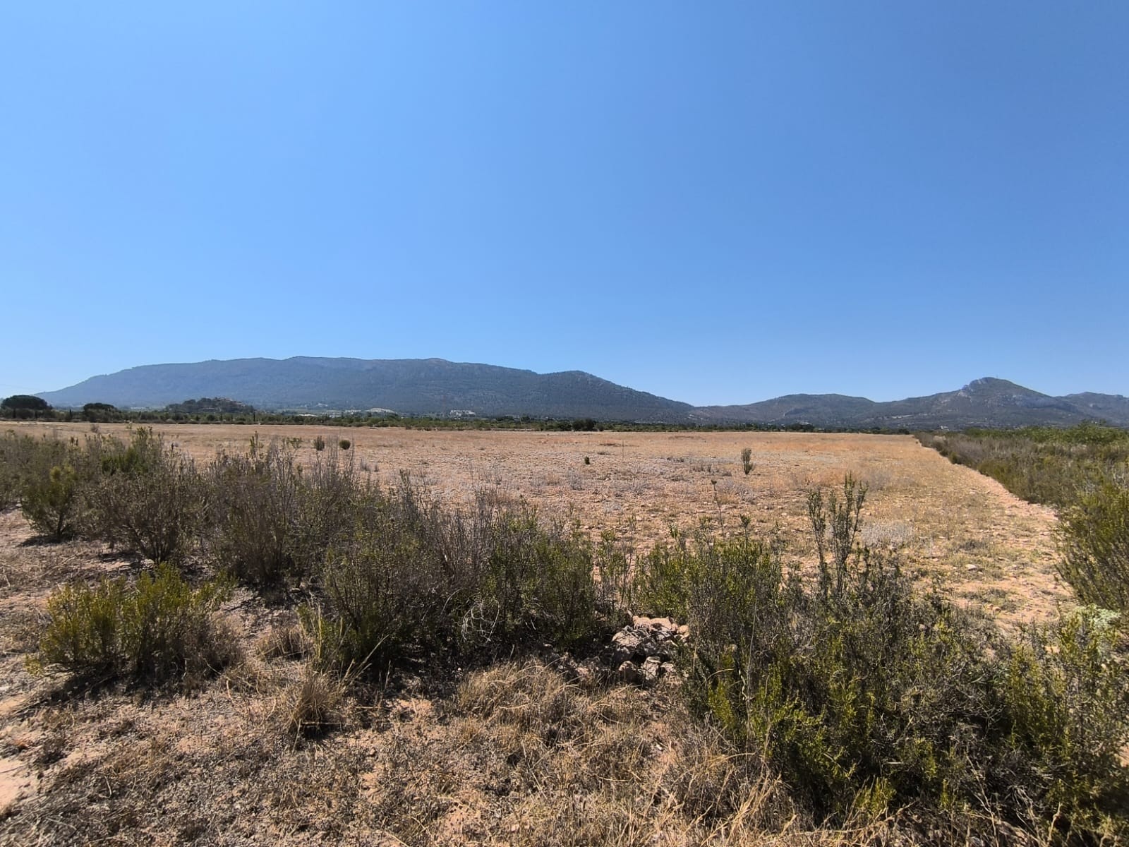 Finca Villena, Alicante, Spānijā 6 istabas, 606 m2 Nr. 131537