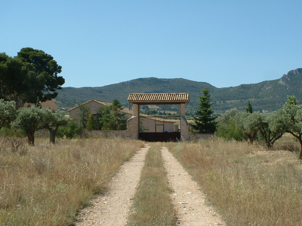 Finca Villena, Alicante, Spānijā 6 istabas, 606 m2 Nr. 131537