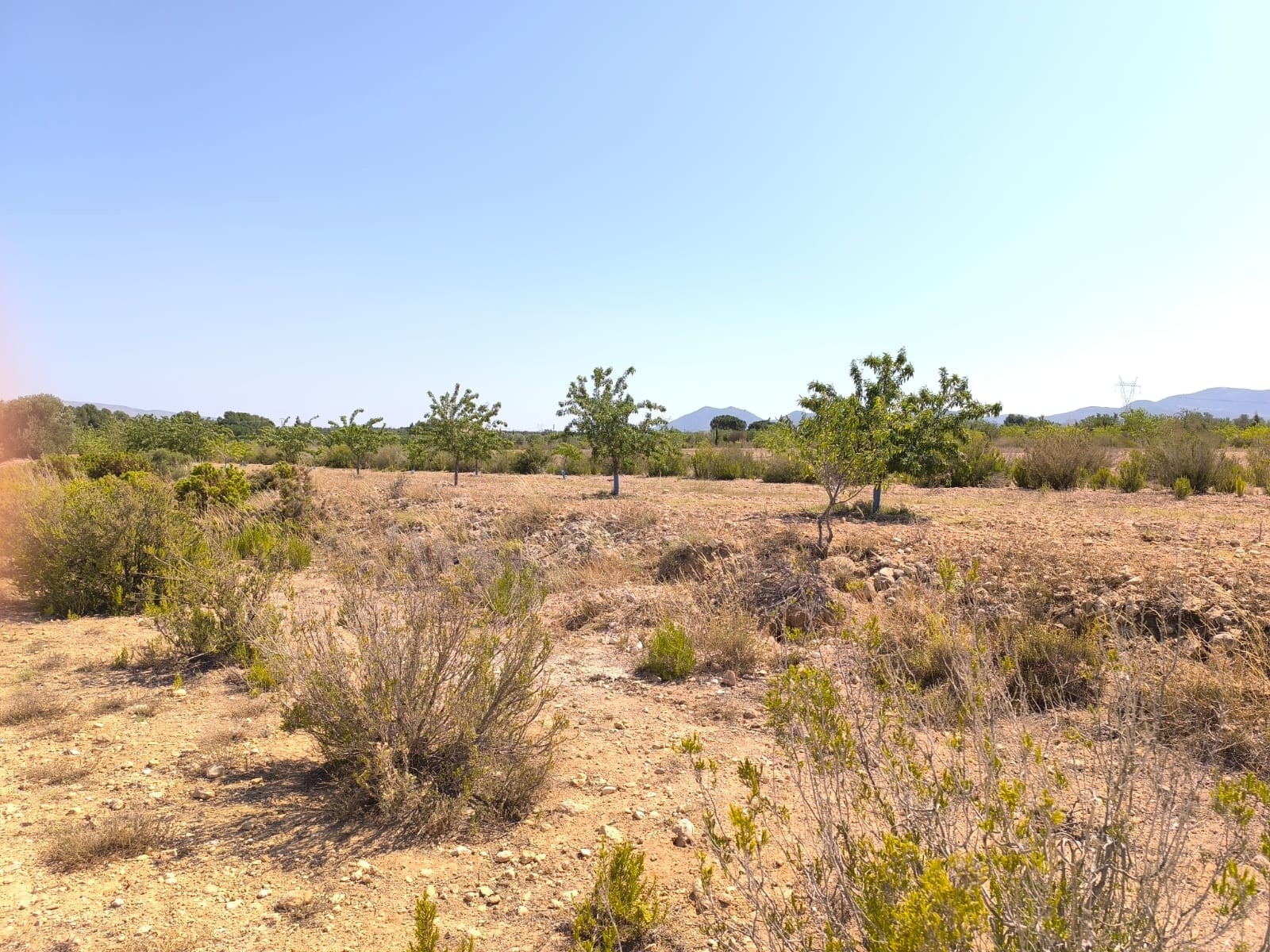 Finca Villena, Alicante, Spānijā 6 istabas, 606 m2 Nr. 131537