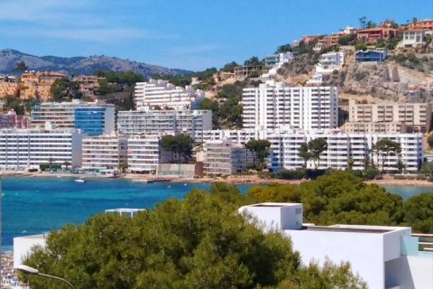Dzīvoklis Santa Ponsa, Mallorca, Spānijā Nr. 127087
