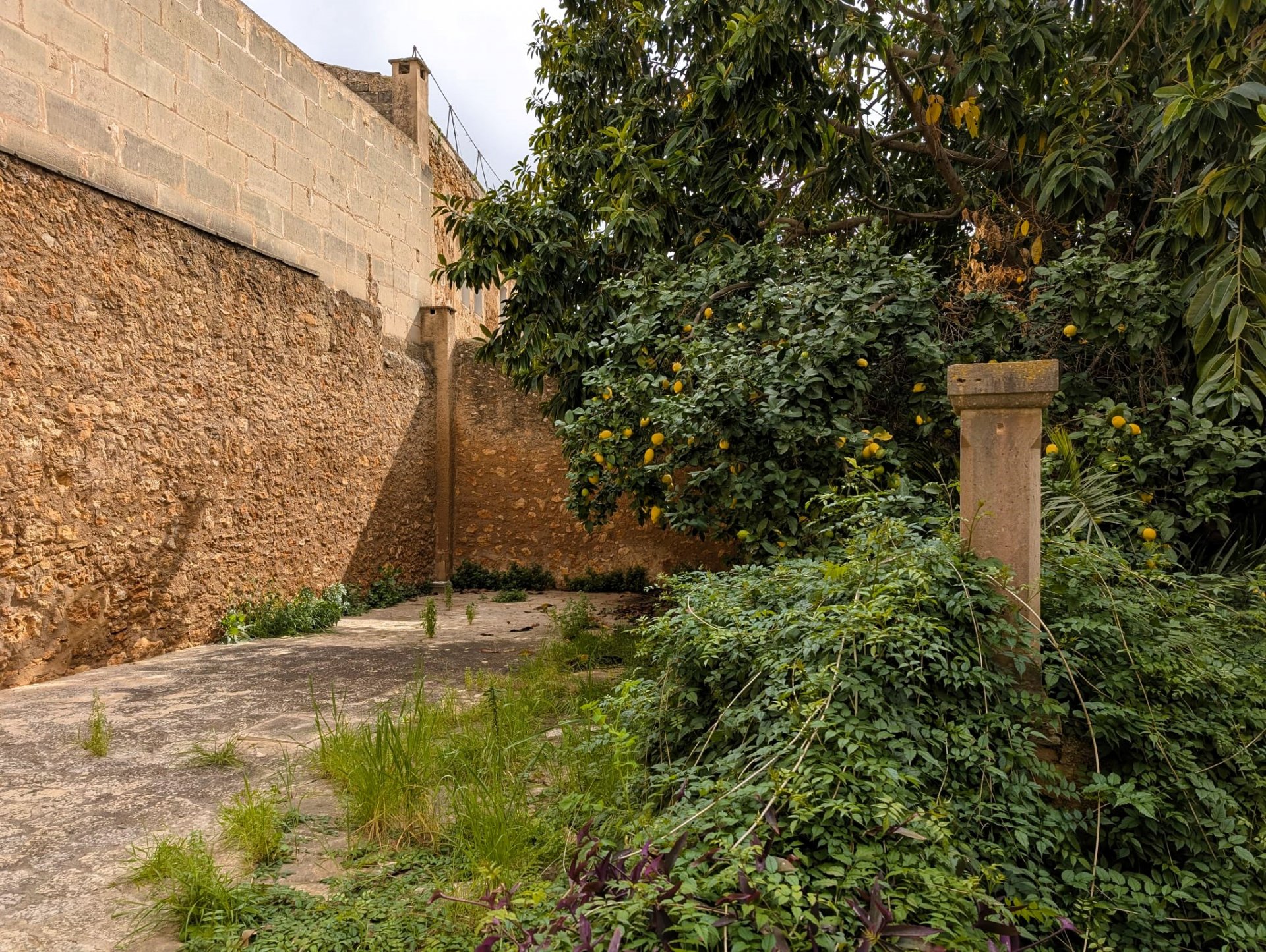 Kaupunkipientalo Campos, Mallorca, Espanja 521 m2 No. 120024