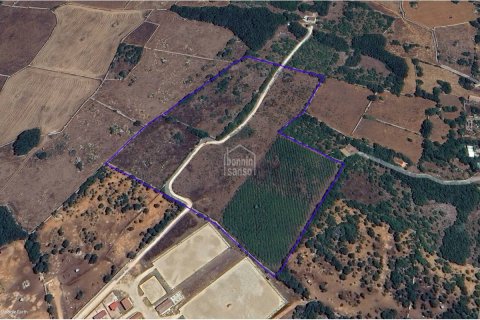 Tontti Mahon, Menorca, Espanja No. 129296