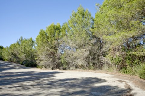 Działka w Son Vida, Mallorca, Hiszpania 2200 mkw. nr 128294