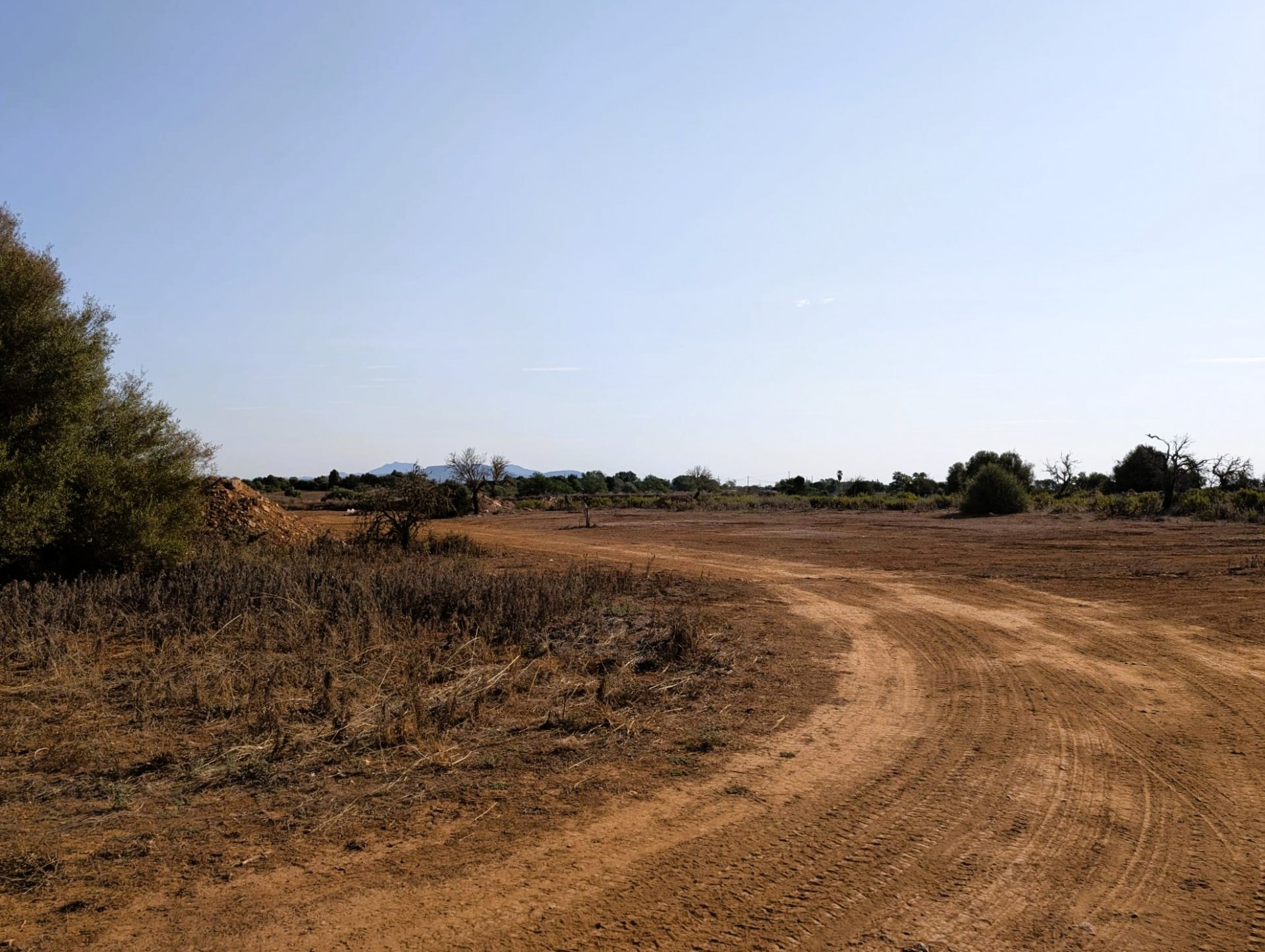 Land plot in Santanyi, Mallorca, Spain 14557 sq.m. No. 131032