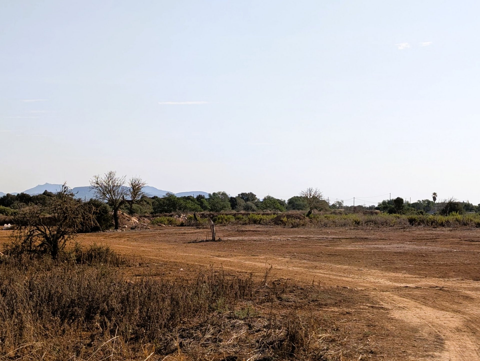 Land plot in Santanyi, Mallorca, Spain 14557 sq.m. No. 131032