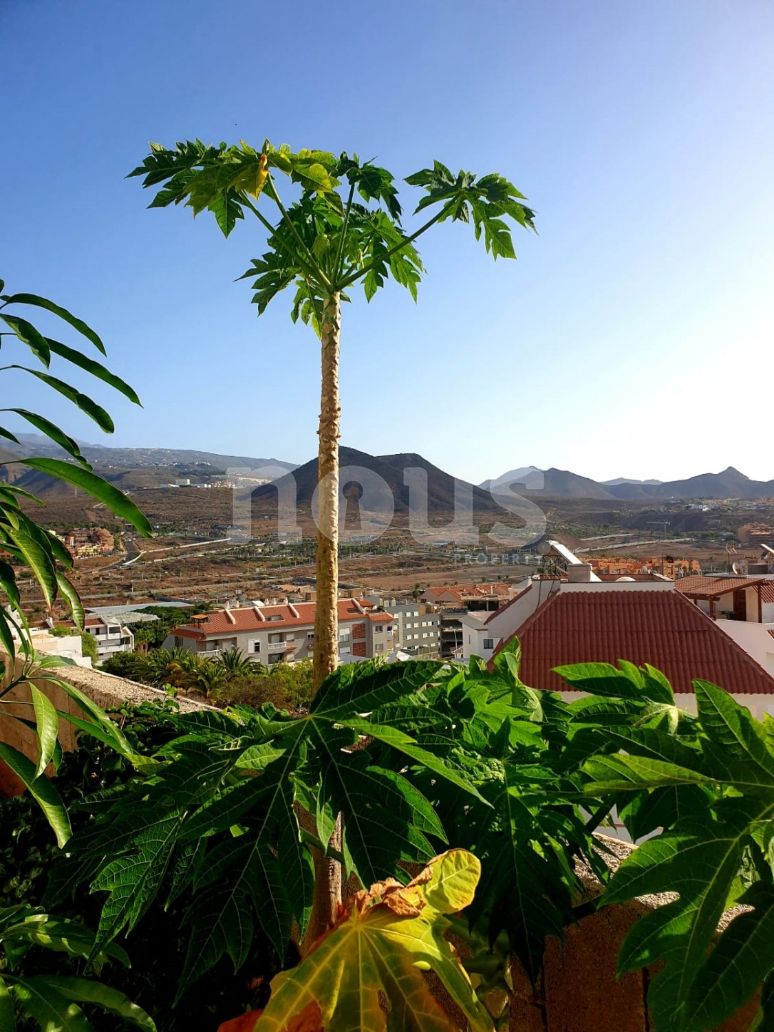 Wohnung in Los Cristianos, Tenerife, Spanien 3 Schlafzimmer, 144 m2 Nr. 127598