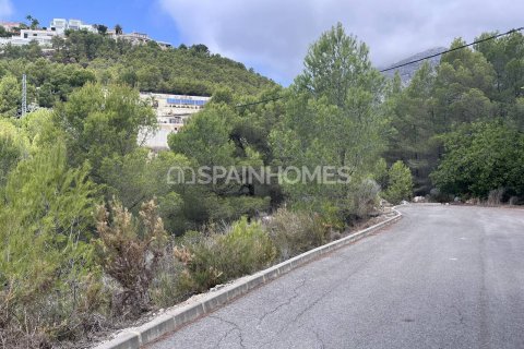Land plot in Altea, Alicante, Spain 4812 sq.m. No. 120964