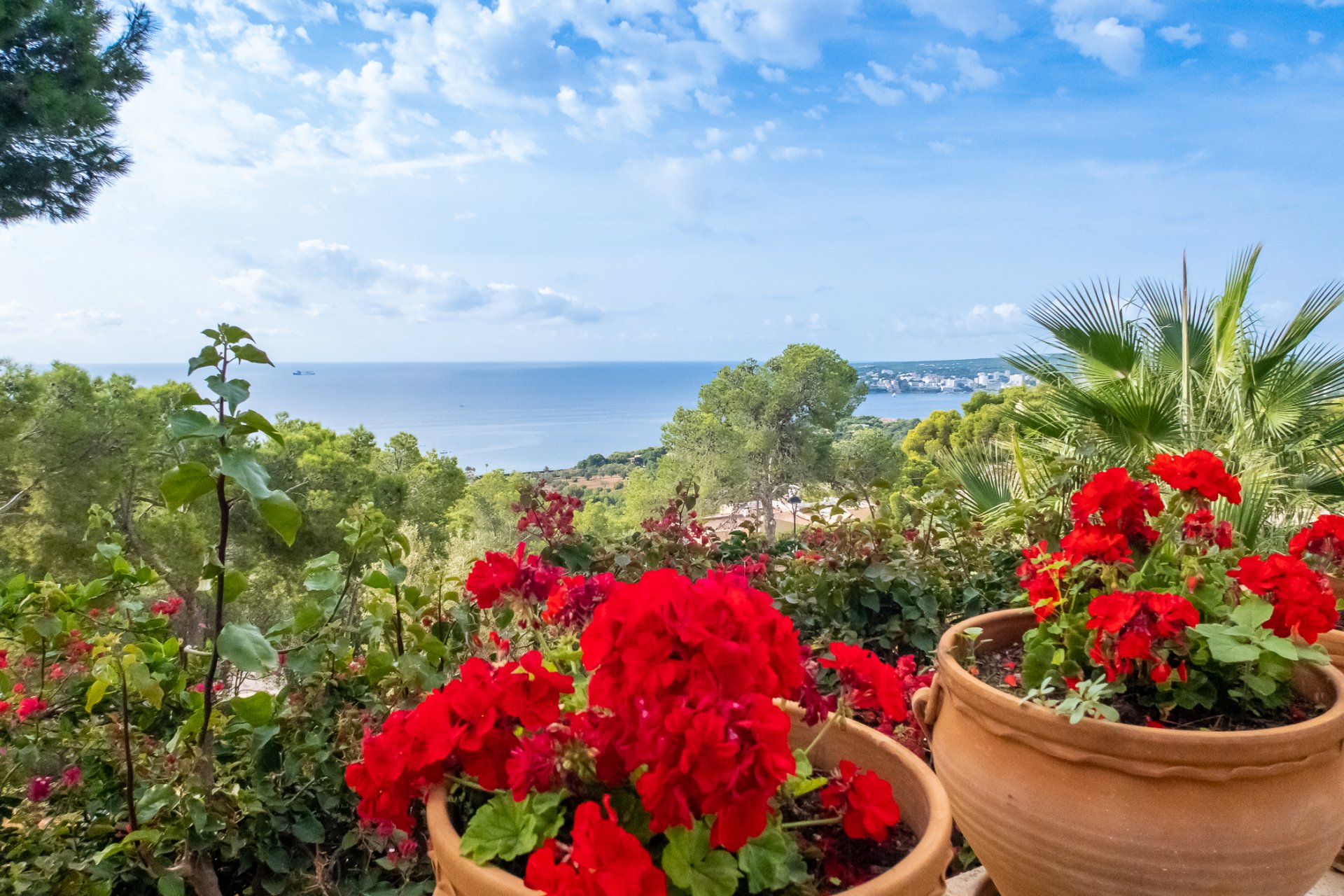 Villa à Mallorca, Espagne 5 chambres, 350 m2 No. 130927