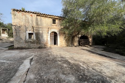 Finca in Llubi, Mallorca, Spanien 3 Schlafzimmer, 150 m2 Nr. 128143