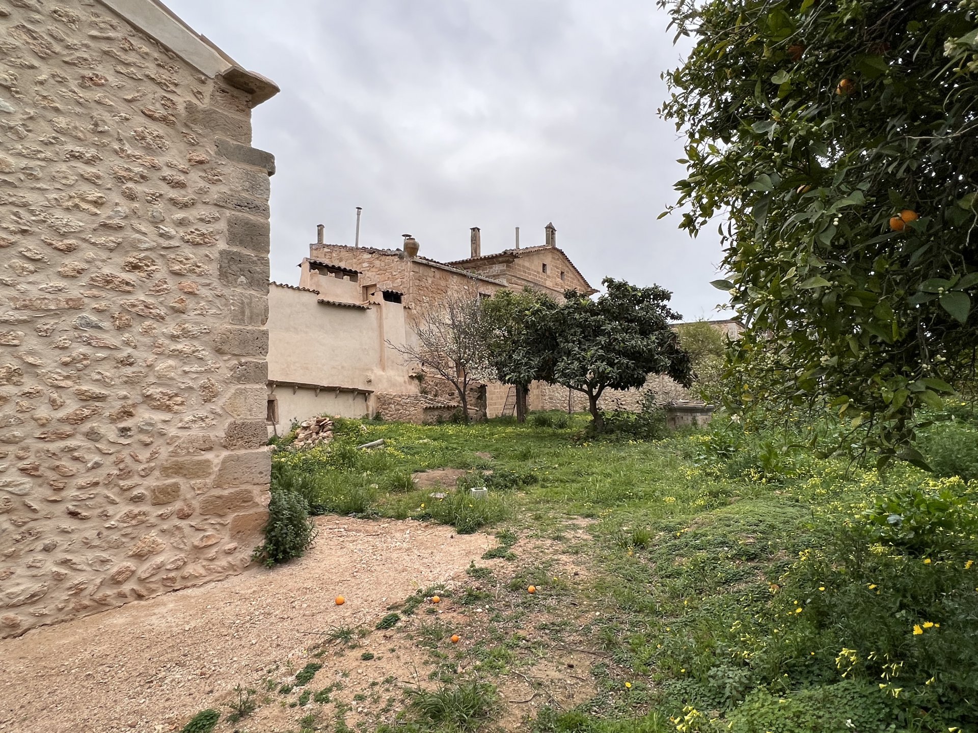 Zemes gabals Palma de Majorca, Mallorca, Spānijā 7281 m2 Nr. 128162