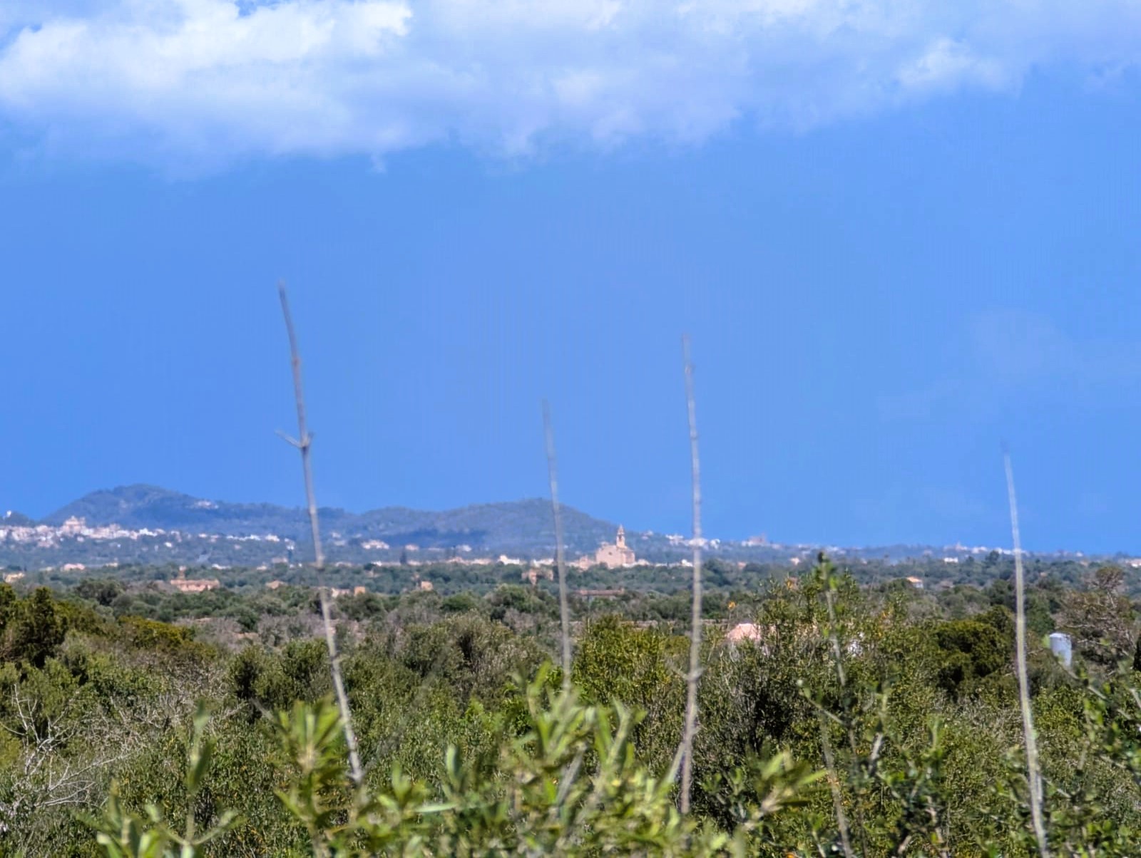 Parcela en Ses Salines, Mallorca, España 19178 m2 No. 128193