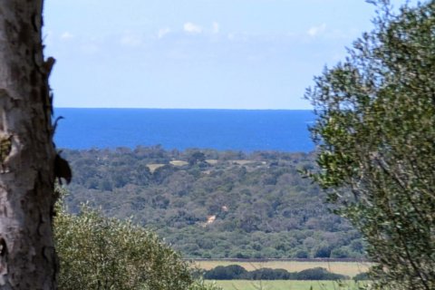 Tontti Ses Salines, Mallorca, Espanja 19178 m2 No. 128193