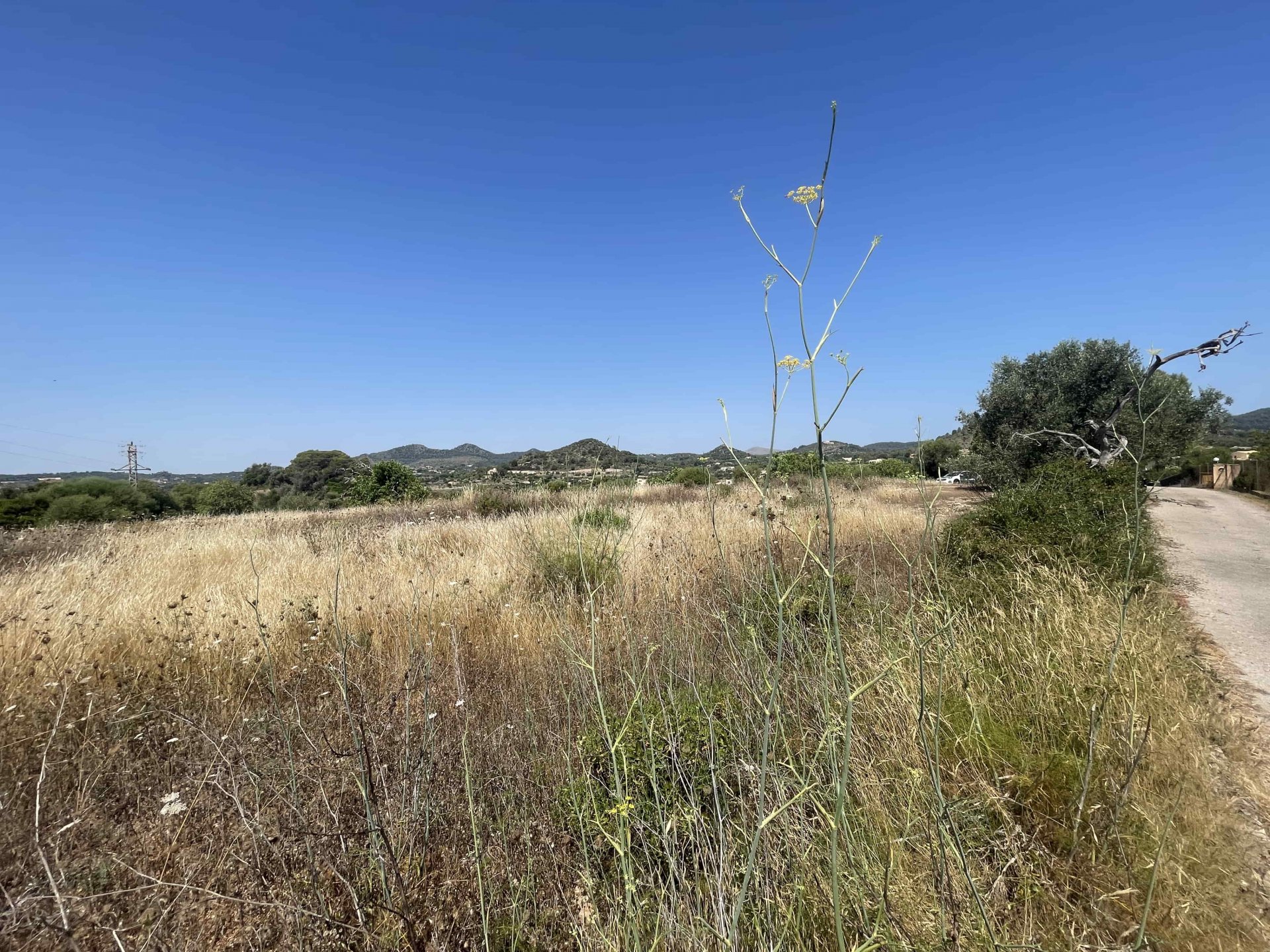 Land plot in Son Servera, Mallorca, Spain 734 sq.m. No. 130989