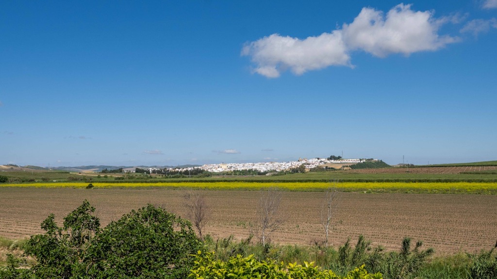 Villa à Villamartin, Cadiz, Espagne 4 chambres, 385 m2 No. 120530
