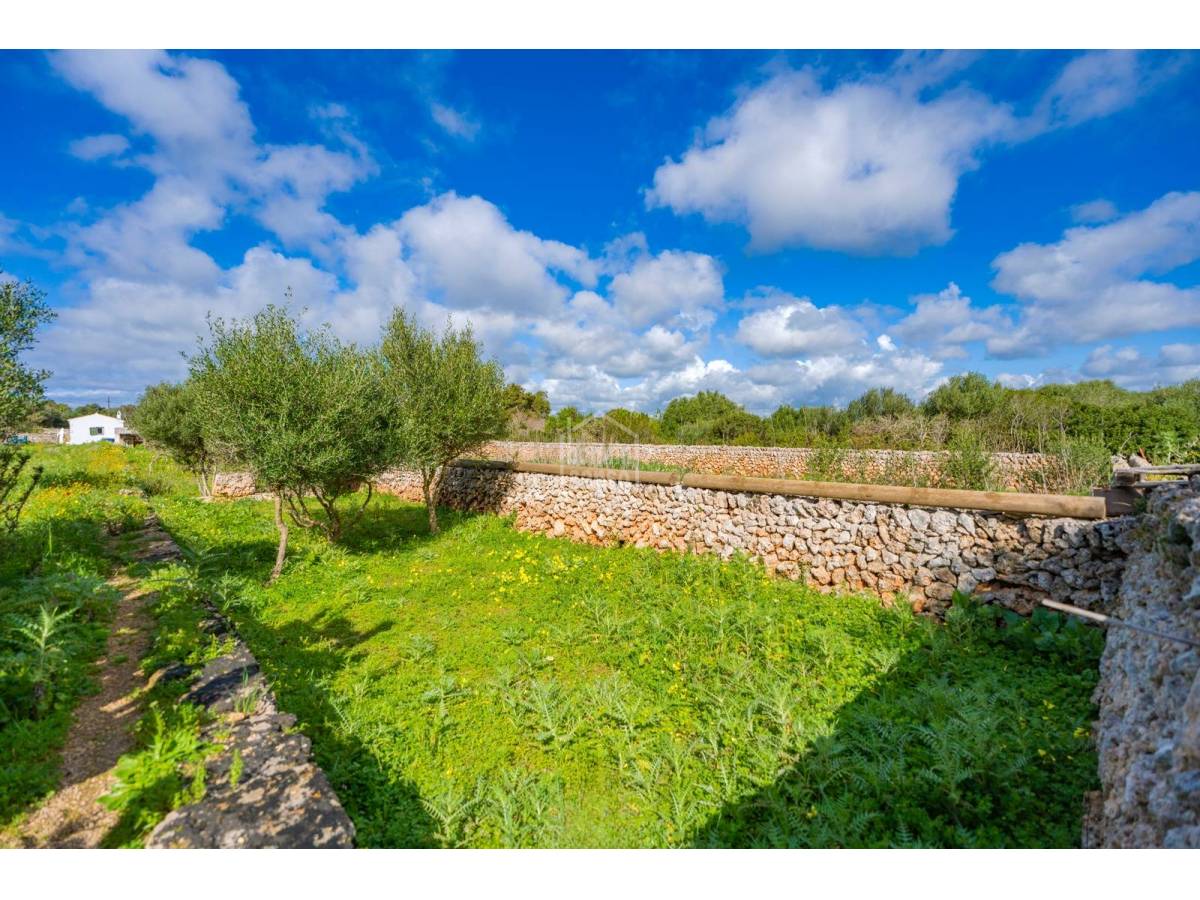 House à Sant Lluis, Menorca, Espagne 36 m2 No. 127934