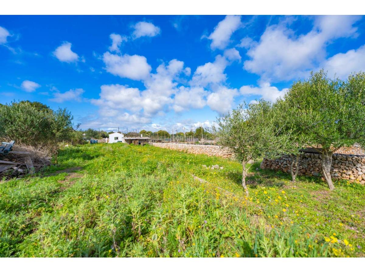 House à Sant Lluis, Menorca, Espagne 36 m2 No. 127934