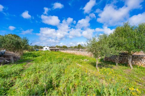 House in Sant Lluis, Menorca, Spain 36 sq.m. No. 127934