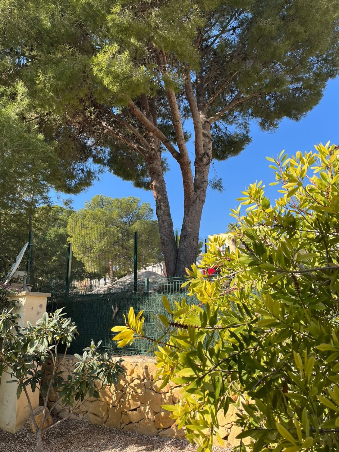 Hus i Benidorm, Alicante, Spanien 283 kvm. Nr. 130324