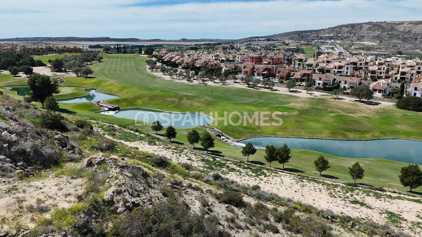 Villa in Algorfa, Alicante, Spain 6 bedrooms, 436 sq.m. No. 121516