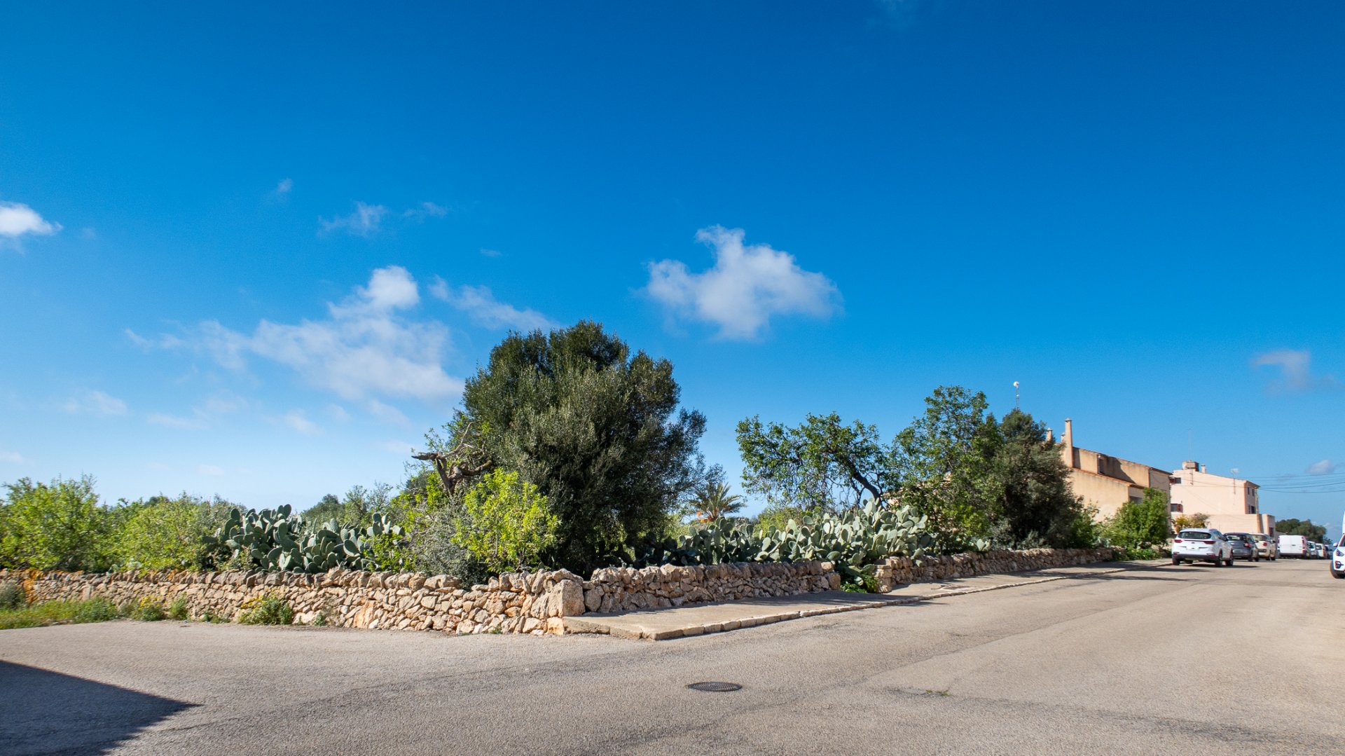 Parcela en Ses Salines, Mallorca, España 2490 m2 No. 36745