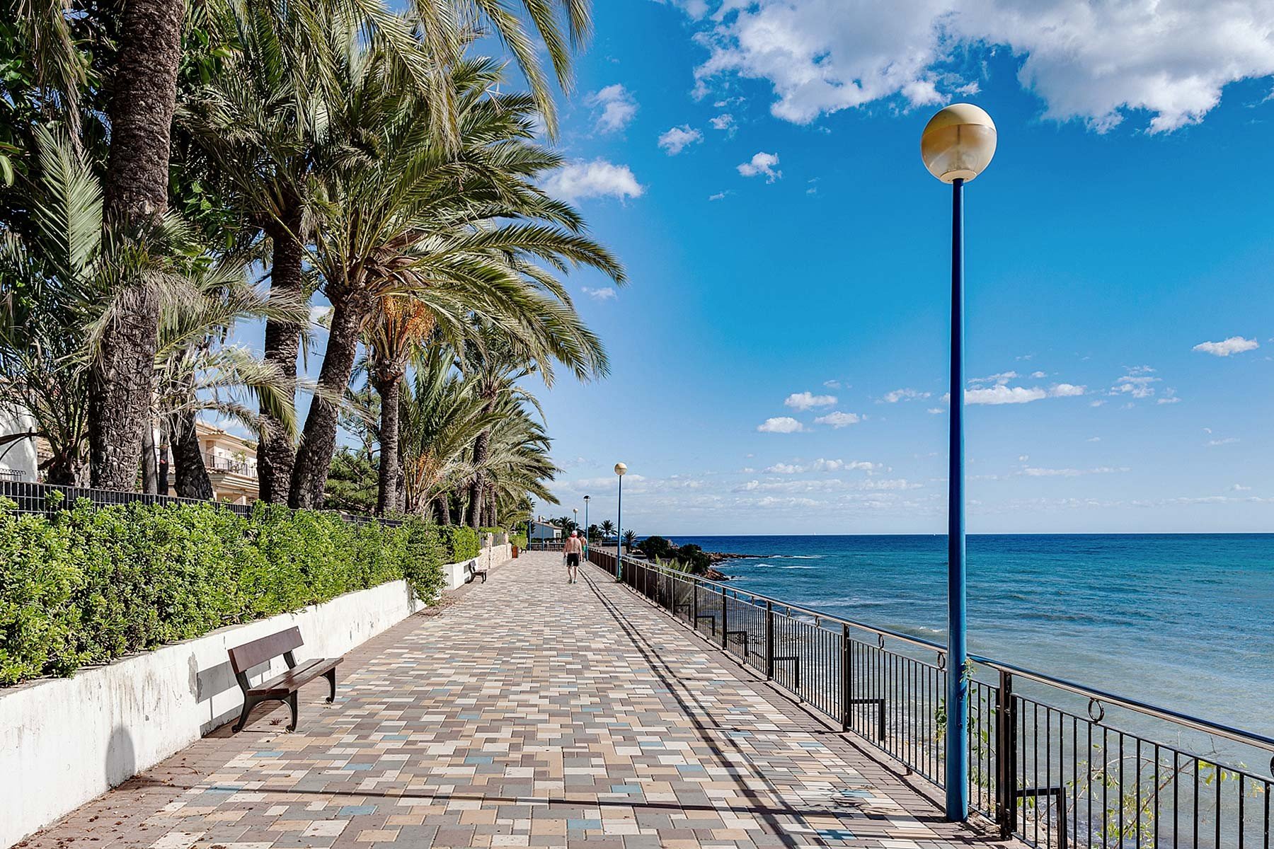 Apartment à Orihuela, Alicante, Espagne 3 chambres, 96 m2 No. 128406