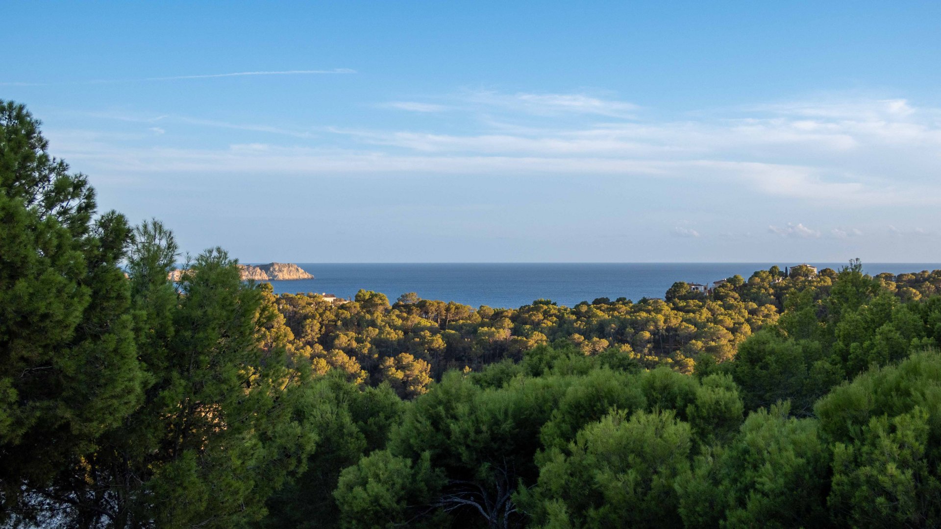 Villa in Peguera, Mallorca, Spain 5 bedrooms, 264 sq.m. No. 128084