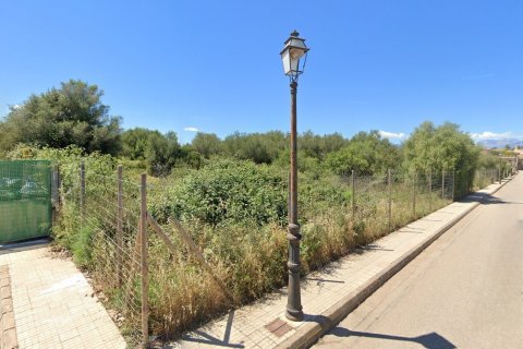 Tontti Algaida, Mallorca, Espanja 17020 m2 No. 131044