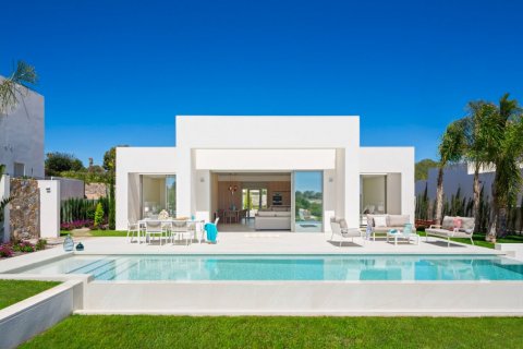 Villa in Pinar De Campoverde, Alicante, Spanien 4 Schlafzimmer, 200 m2 Nr. 124991