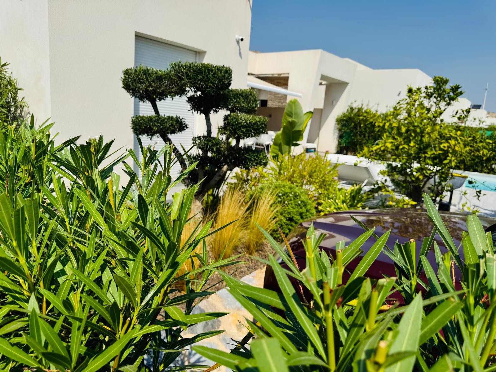 Villa in Algorfa, Alicante, Spain 2 bedrooms, 132 sq.m. No. 131646