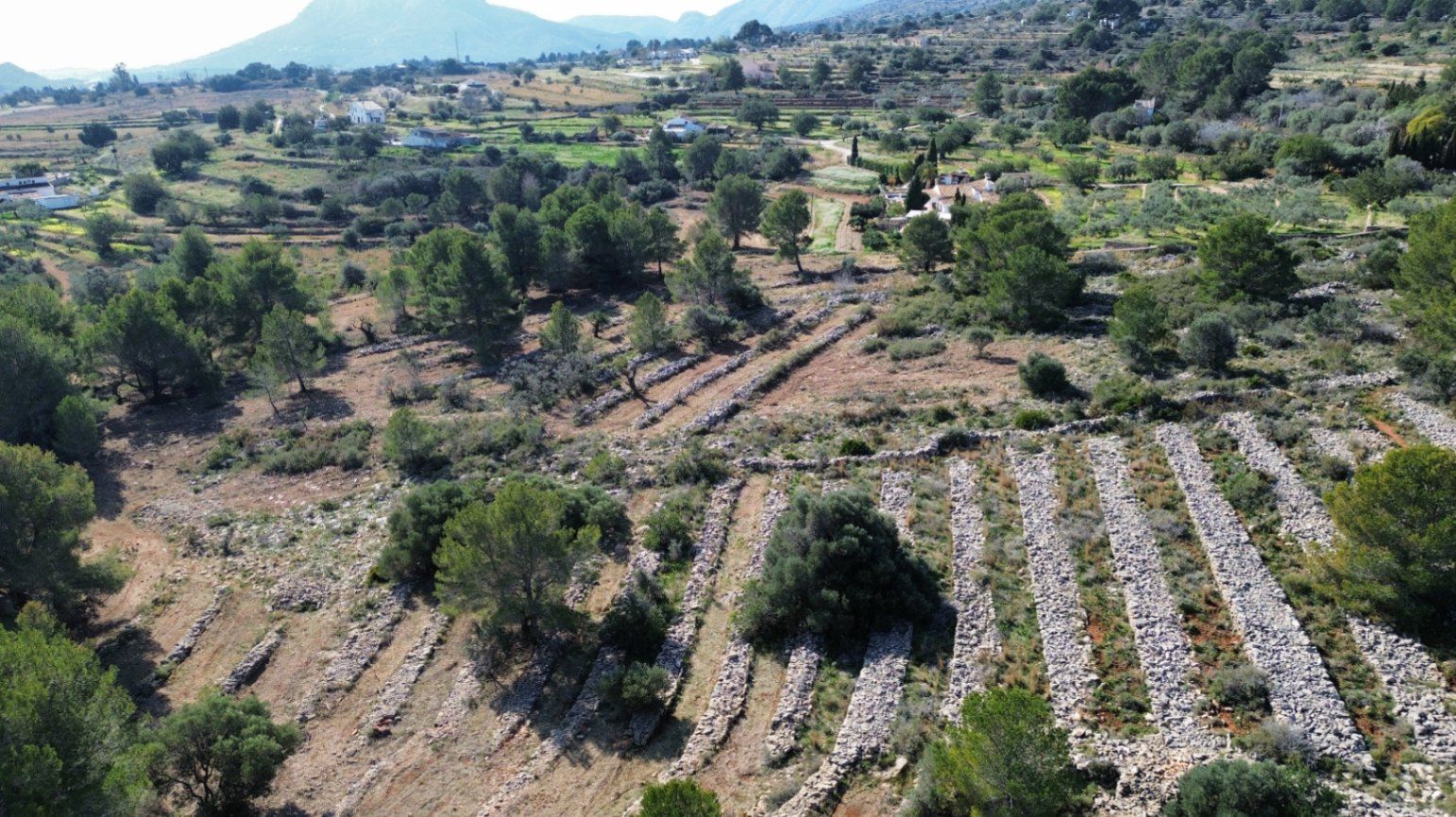 Land in Benissa, Alicante, Spanien 33673 m2 Nr. 122504