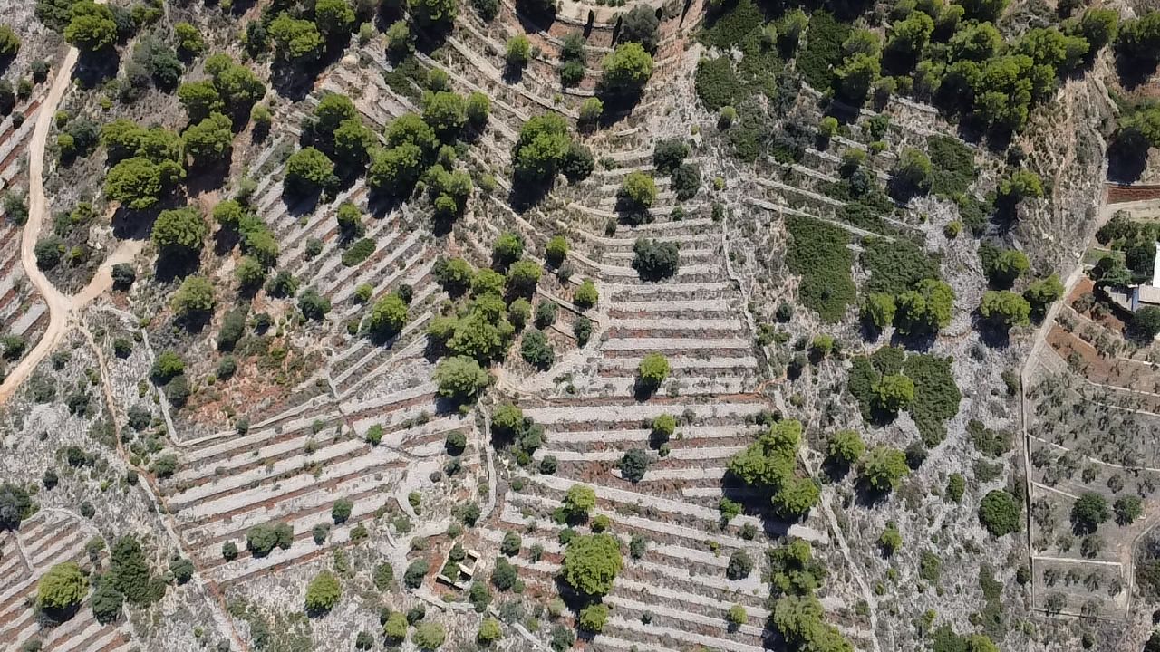 Land in Benissa, Alicante, Spanien 33673 m2 Nr. 122504
