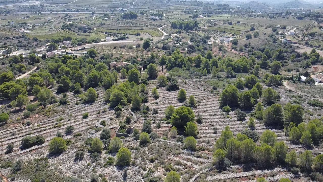 Land in Benissa, Alicante, Spanien 33673 m2 Nr. 122504