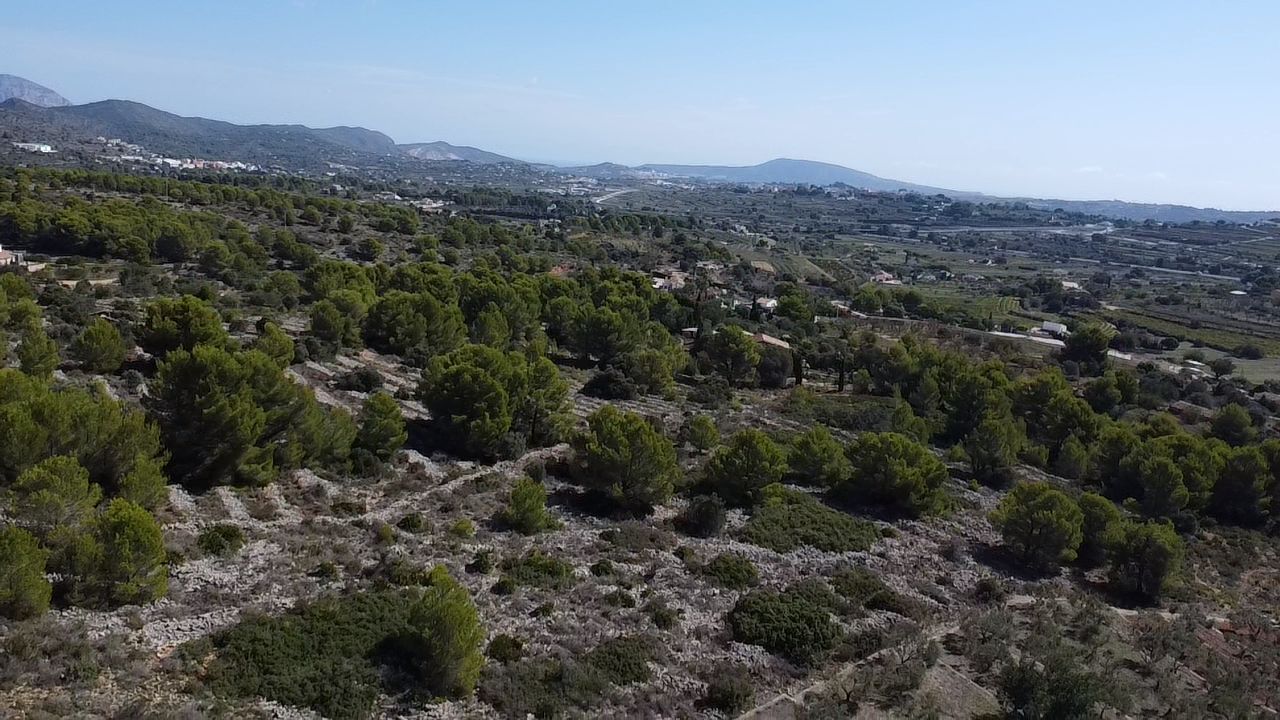 Land in Benissa, Alicante, Spanien 33673 m2 Nr. 122504
