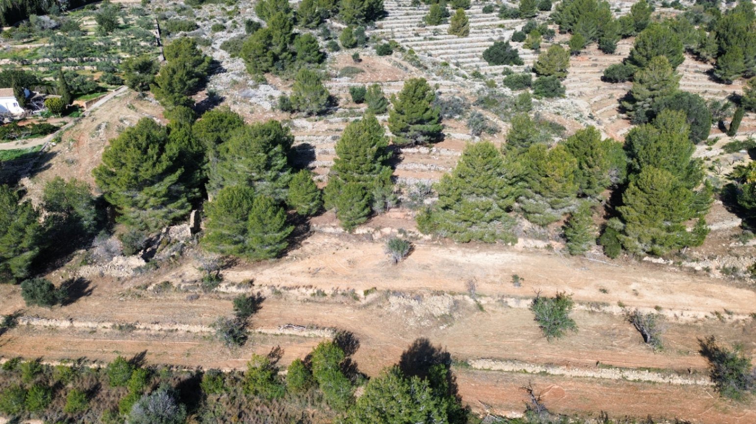 Land in Benissa, Alicante, Spanien 33673 m2 Nr. 122504