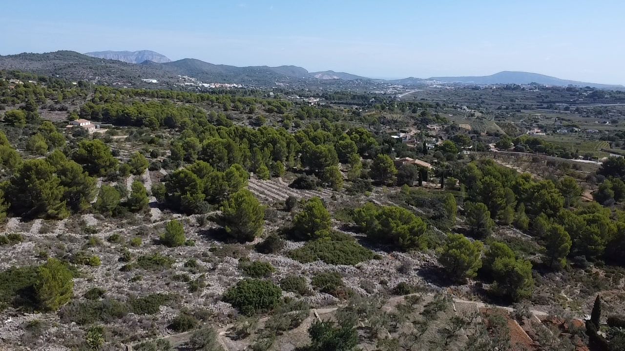 Land in Benissa, Alicante, Spanien 33673 m2 Nr. 122504