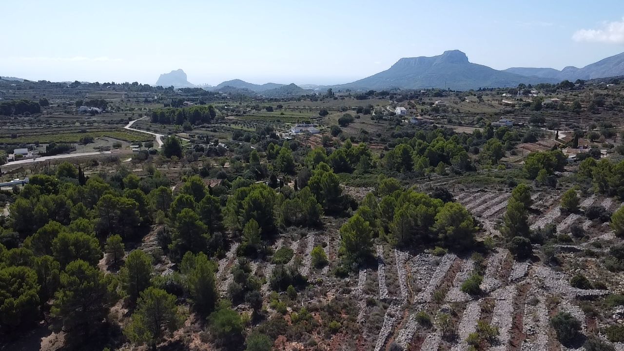 Land in Benissa, Alicante, Spanien 33673 m2 Nr. 122504