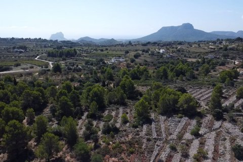 Land in Benissa, Alicante, Spanien 33673 m2 Nr. 122504