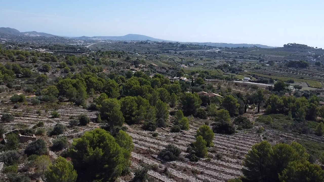 Land in Benissa, Alicante, Spanien 33673 m2 Nr. 122504
