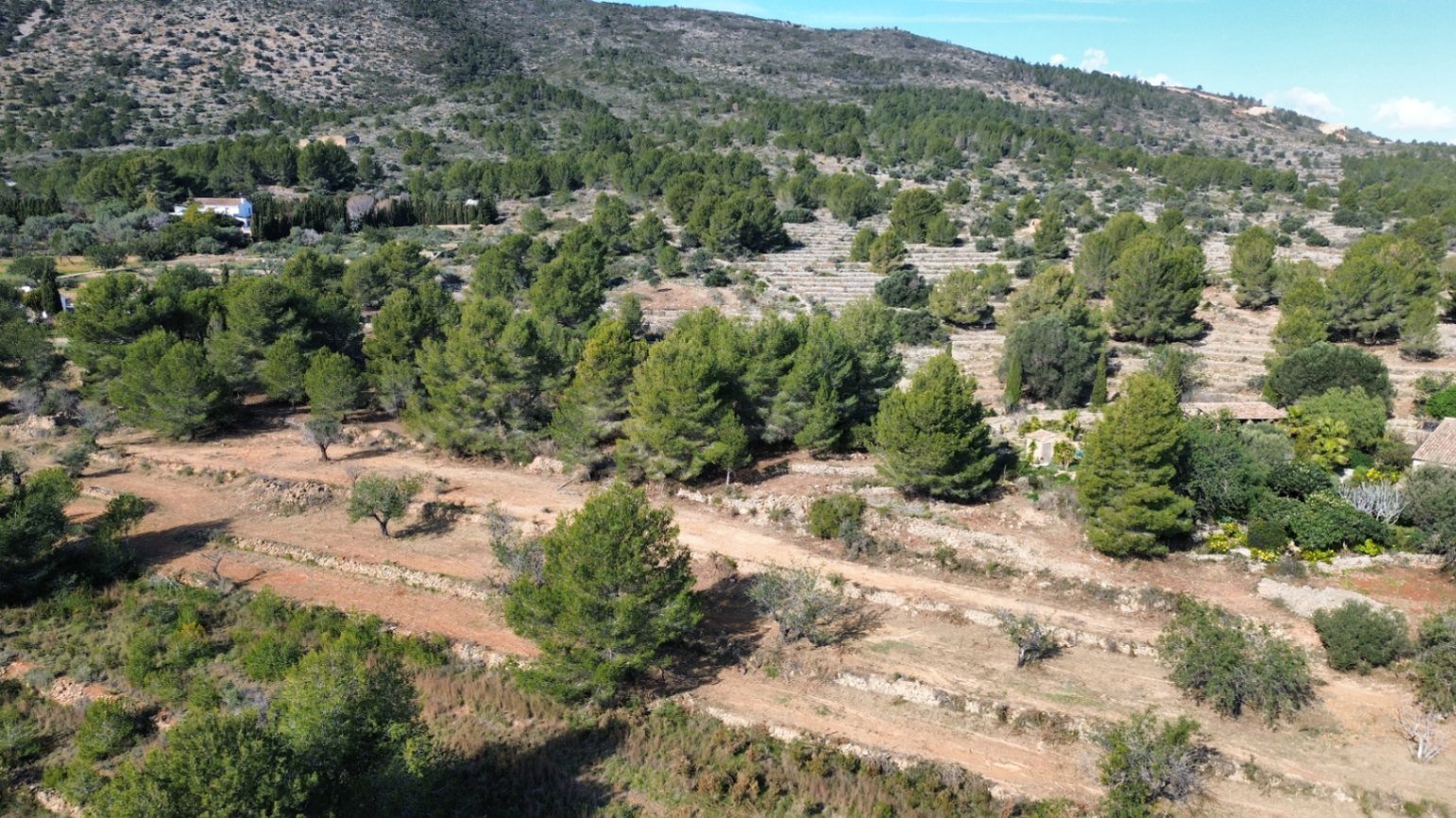Land in Benissa, Alicante, Spanien 33673 m2 Nr. 122504