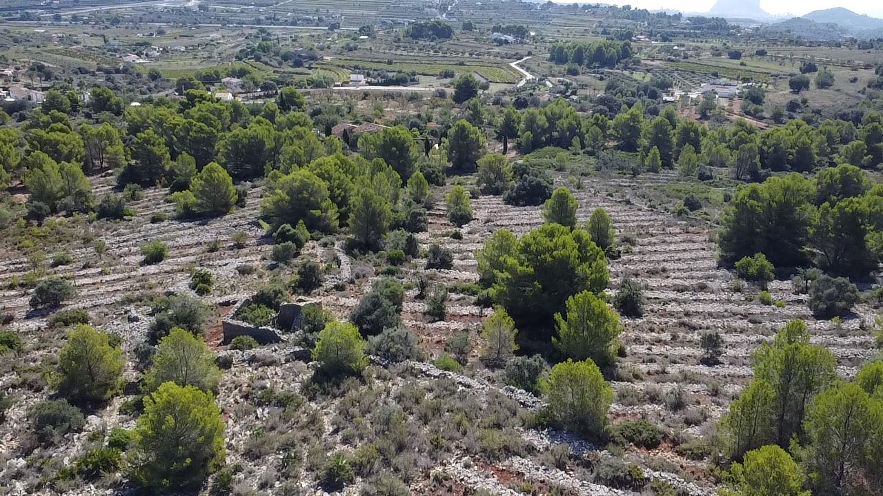 Land in Benissa, Alicante, Spanien 33673 m2 Nr. 122504