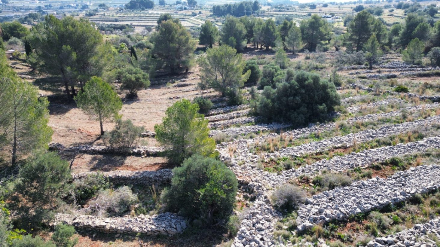 Land in Benissa, Alicante, Spanien 33673 m2 Nr. 122504