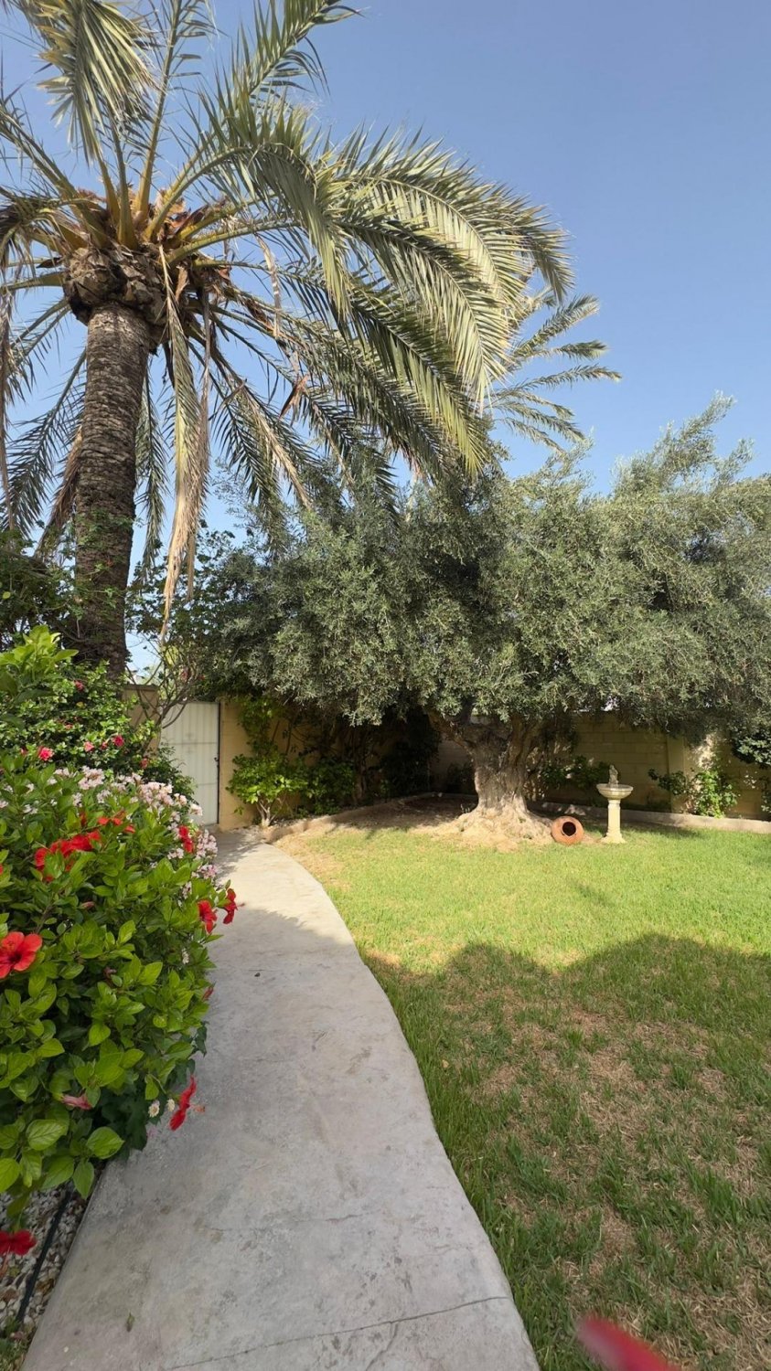 Villa in Punta Prima, Alicante, Spanien 4 Schlafzimmer, 360 m2 Nr. 131668