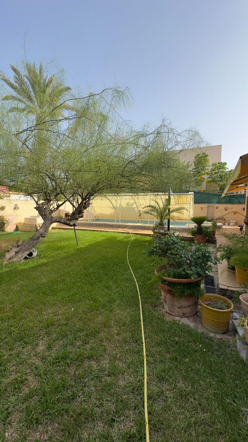 Villa in Punta Prima, Alicante, Spanien 4 Schlafzimmer, 360 m2 Nr. 131668