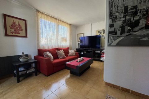 Apartment in Santa Ponsa, Mallorca, Spain 3 bedrooms, 85 sq.m. No. 127021