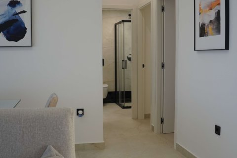 Apartment à Torre de la Horadada, Alicante, Espagne 3 chambres, 360 m2 No. 120094