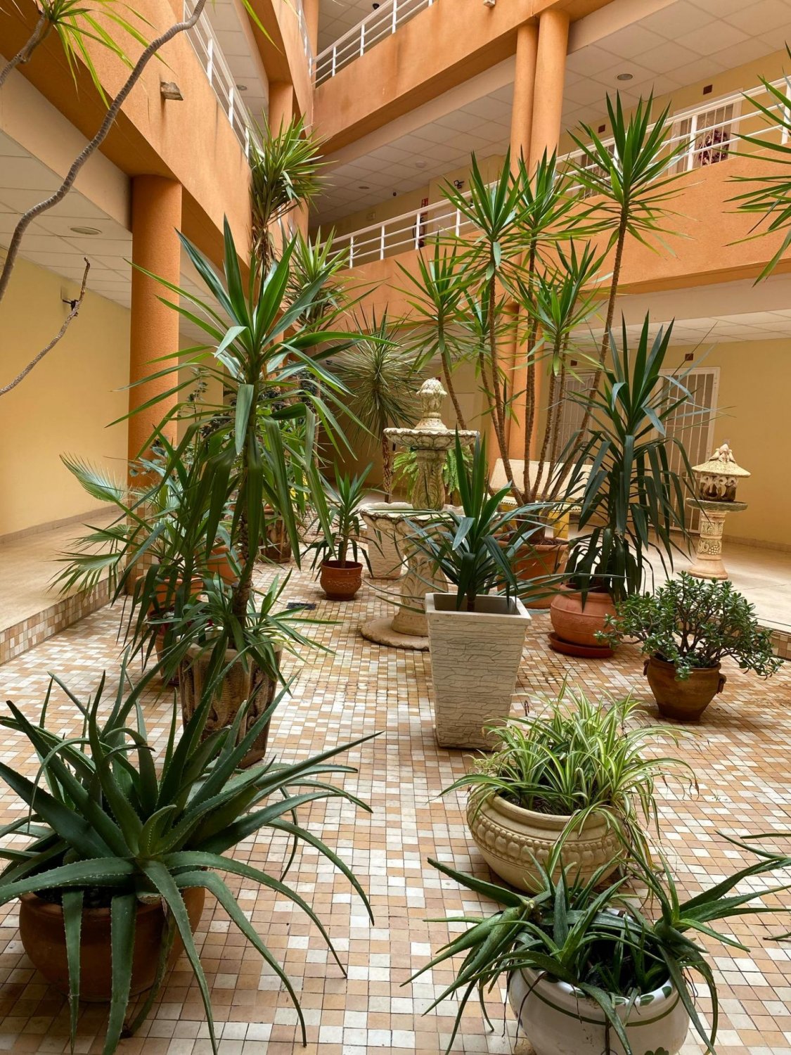 Dzīvoklis San Miguel de Salinas, Alicante, Spānijā 2 istabas, 75 m2 Nr. 124914