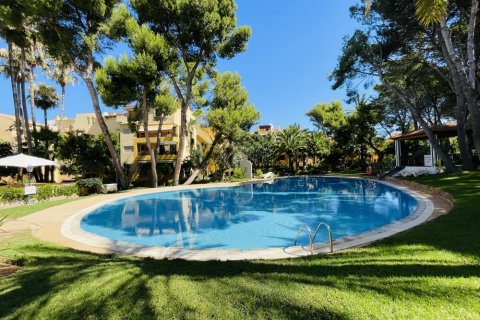 Apartment in Santa Ponsa, Mallorca, Spain 2 bedrooms, 70 sq.m. No. 129199