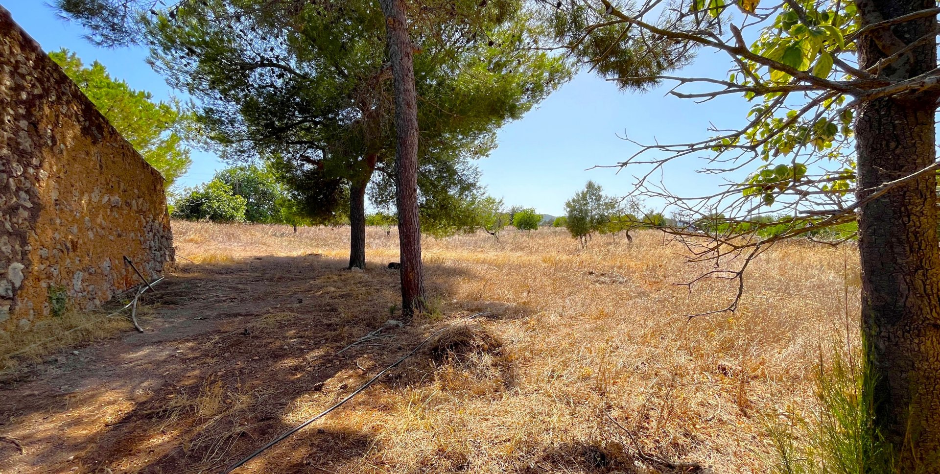 Działka w Porto Cristo, Mallorca, Hiszpania 21476 mkw. nr 129601